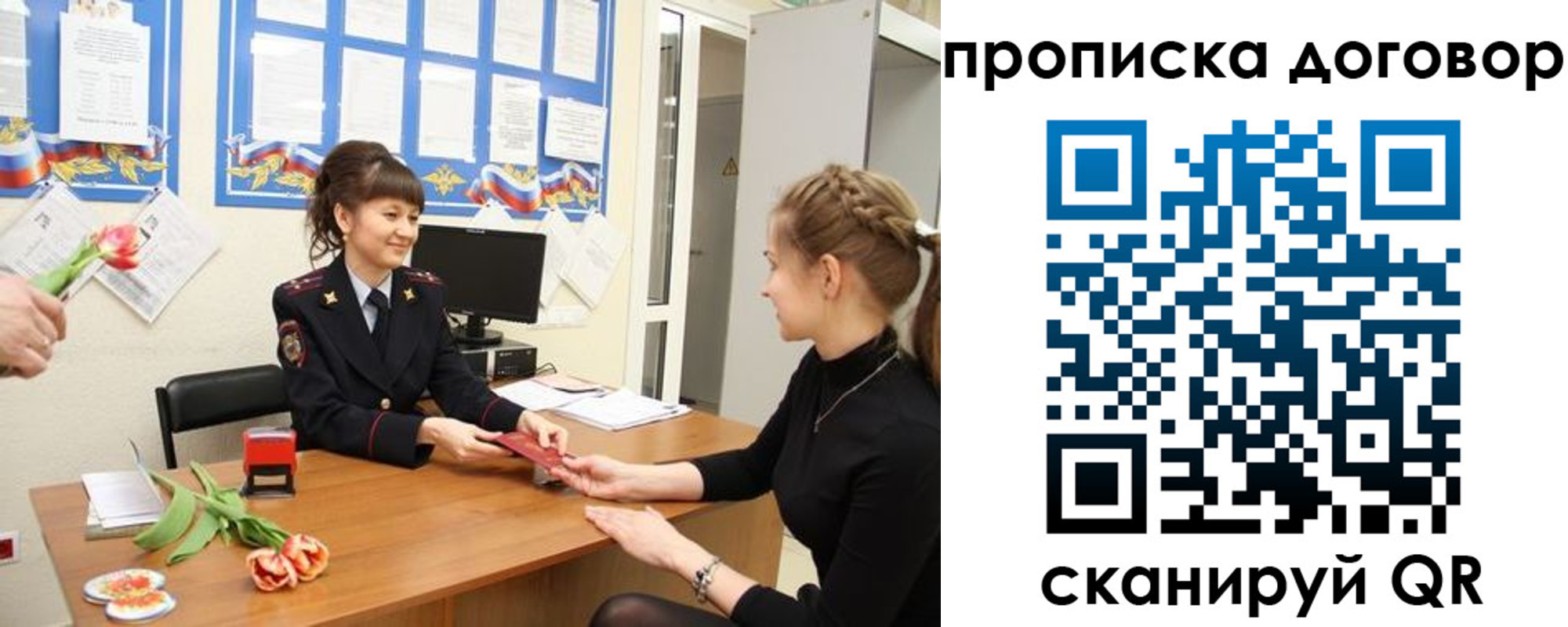 прописка 2025 в Елизово